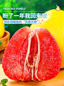 福建平和红心柚子10斤蜜柚新鲜水果当季整箱葡萄三红肉叶琯溪