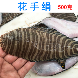 500克深海野生海捕舌头鱼龙利鱼舌鳎鱼花手绢斑马鱼