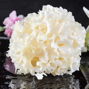 新鲜绣球菇 云南特产非干货银耳绣球菌花边菌食用蘑菇1000g