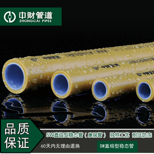 中财管道高端家装康居系列PPR冷热水管耐高温抗冻管直熔型稳态管