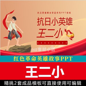 少年英雄王小二