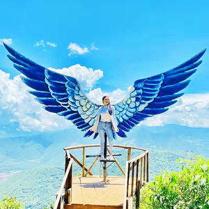 网红翅膀鸟巢户外打卡秋千景区婚纱拍摄道具悬挂天使之翼民宿装饰