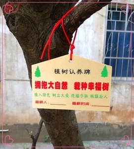 木悬挂景区小学生制作绿化定制植树节树牌园林 质爱护幼儿园学校