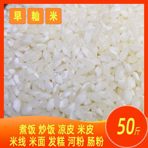 广东肠粉大米圆粒陈米河粉米线专用米无粘早籼米50斤包邮