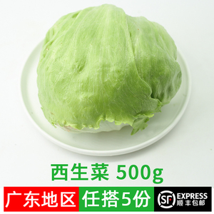 球生菜500g新鲜蔬菜沙拉食材西餐汉堡生菜西生菜 5件顺丰包邮