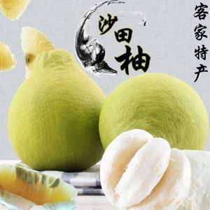 梅州琯溪蜜柚