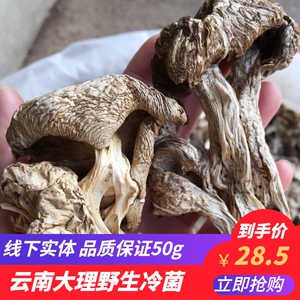 云南野生北风菌干货冷菌一窝菌佛菌大理鸡足山土特产蘑菇煲汤鲜美