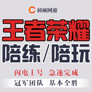 王者荣耀陪练陪打上分排位游戏陪玩送大神代打双排五排带车队躺赢