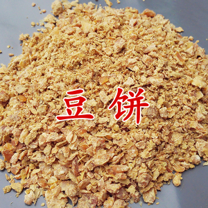 饼肥芝麻渣豆饼肥菜籽饼肥麻酱渣香油渣花卉蔬菜用有机花肥料