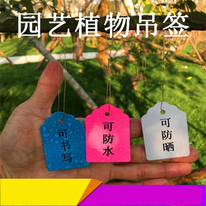 吊牌标签标识牌悬挂挂绳花卉园艺区分标示牌挂牌植物卡片苗木名称