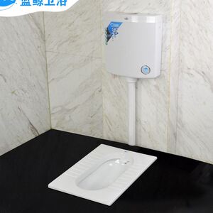 蓝鲸卫浴蹲便器整套带水箱s弯带防臭弯大便器便池踏便器水箱整套