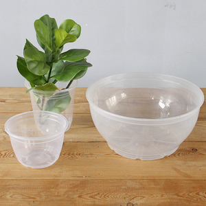 懒酱 创意绿萝花盆透明外罩接水盘加厚塑料花盆储水外盆180 360