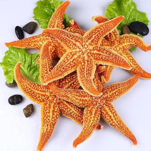 海星海鲜200g/只*2熟冻食用水产 五角星 海五星 即食超大海星