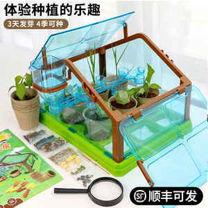 科学小实验套装植物观察阳光房种植儿童玩具学生种花温室手工材料