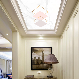 玄关天花吊玻璃