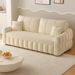 海设云造2024新款沙发床小户型客厅坐卧两用抽拉折叠式可当床沙发