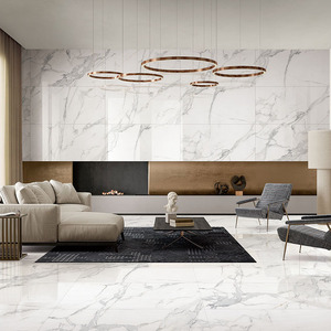 东鹏瓷砖卡拉拉原石