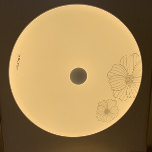 极美led现代吸顶灯