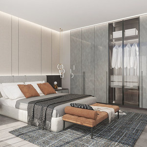 图森定制柜图森定制衣柜全屋定制整体卧室移门趟门衣帽间定做