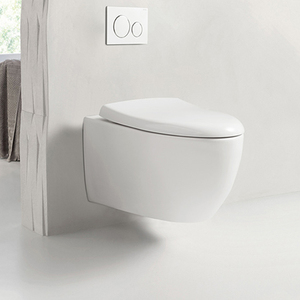 家装,建材 卫浴洁具类 智能马桶 吉博力智能马桶