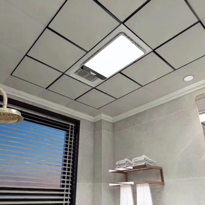 法狮龙暖风机ymzhf636a家用冷热两用多功能冷暖防水防水速热浴室