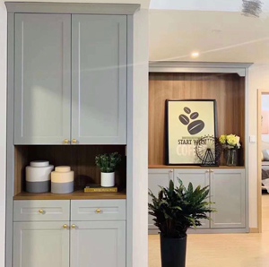 yingnuoer英诺尔全屋定制现代简约轻奢北欧简美风柜门膜压门板