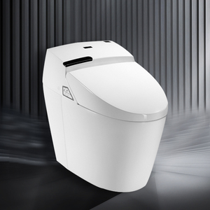 欧路莎智能马桶家用