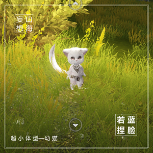 妄想山海捏脸数据 仅狸猫族幼猫体型可用 超小猫咪中山打架w98