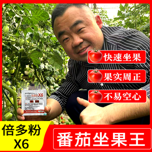 倍多粉番茄强效坐果剂大小西红柿叶面肥增加坐果膨果剂喷花药正品