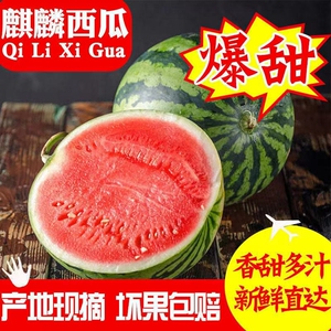 冰糖麒麟瓜非宁夏西瓜硒砂瓜正宗中卫沙漠西瓜5-6斤超甜多汁新鲜