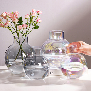 北欧风创意玻璃花瓶透明圆球轻奢水培鲜花干花插花瓶餐桌客厅装饰