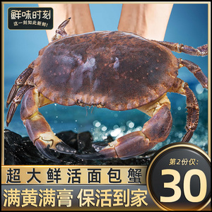 包活面包蟹鲜活帝王蟹海鲜水产螃蟹黄金蟹超大蟹新鲜珍宝蟹非熟冻