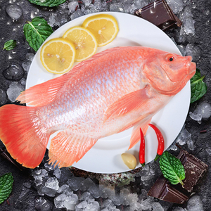 腌制冷冻红星斑鱼400g*4条清蒸烤鱼纸包鱼酒店商用半成品海鲜水产