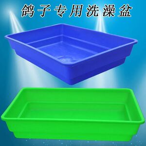 鸽子澡盆浴盆信鸽洗澡泡澡盆赛鸽加大加厚澡盆 鸽子用品用具 鸽具
