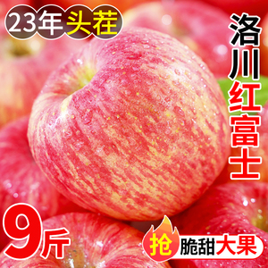 洛川红富士苹果水果新鲜应当季整箱10斤一级陕西冰糖心丑平果包邮
