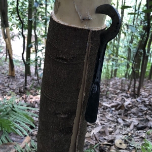 开桂皮刀树皮刀刮松树开皮神器省力方便树皮专用刀果树剥树皮