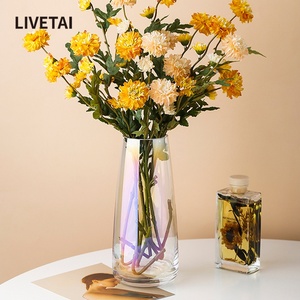 LIVETAI 现代简约花器摆件北欧透明水培干花欧式客厅炫彩玻璃花瓶