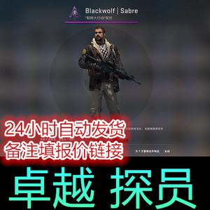 csgo 黑狼 军刀 blackwolf | sabre  探员人物 皮肤 匪 自动发货