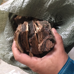 野生核桃树皮新鲜老树皮山核桃树皮树枝现采现发1斤包邮