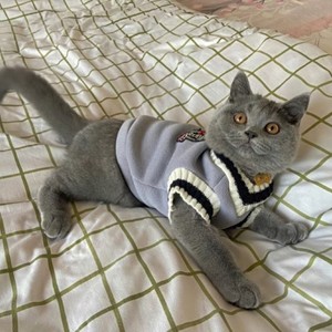 猫咪冬季马甲加绒宠物狗狗衣服春秋无袖背心韩版蓝猫加菲美短布偶