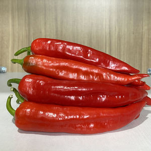 辣妹子辣椒5斤