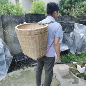 背篓竹编家用大号后背式采摘买菜竹筐收纳筐背篼成人采蘑菇筐舞蹈