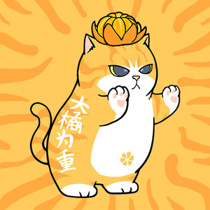 大橘为重连帽卫衣