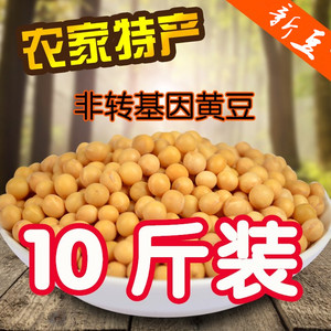 东北黄豆黑龙江农家自产黄豆榨豆浆生豆芽非转基因大豆10斤