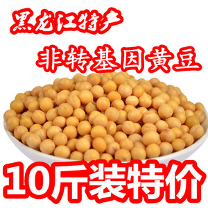东北新黄豆黑龙江农家自产黄豆榨豆浆生豆芽非转基因大豆10斤散装