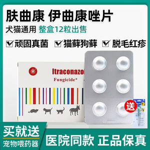 肤曲康伊曲康唑片宠物猫藓狗狗癣真菌细菌猫咪皮肤病口内服药专用
