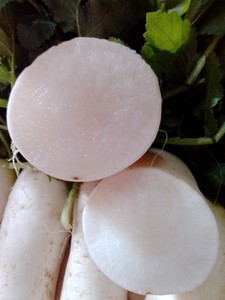 10斤包邮新鲜长白萝卜胡菜农场直销嫩脆甜药食同源食品蔬菜火锅料