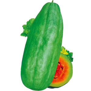 牛角酥甜瓜种子