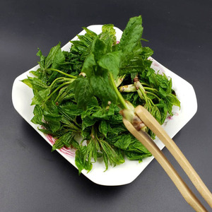 长白山野生刺五加芽新鲜刺五加叶山野菜蘸酱菜500g2斤包邮