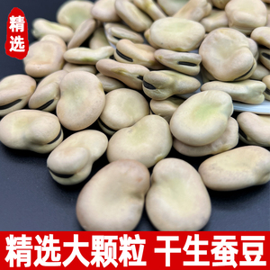 蚕豆干生蚕豆种5斤新货兰花豆特大油炸生胡豆商用蚕豆种籽罗汉豆